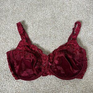 Marie Jo Bra Maroon Burgundy Velvet Size UK 40 E Embroidered Sexy Beautiful